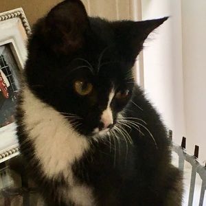 Meet your Posher, Jennifer